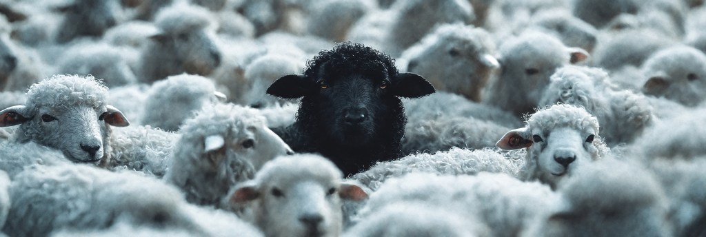 Pas fait pour entrer dans le moule